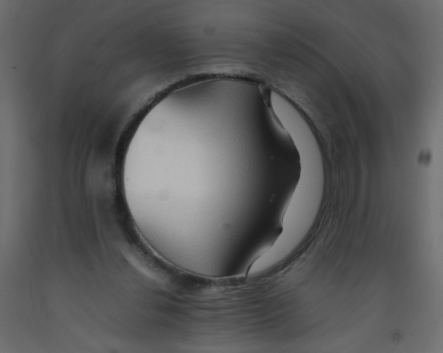 X0000092070252200710101025
