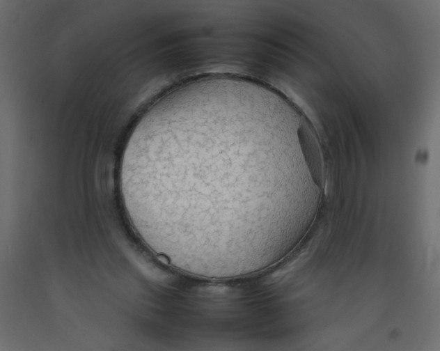 X0000092070253200710101025