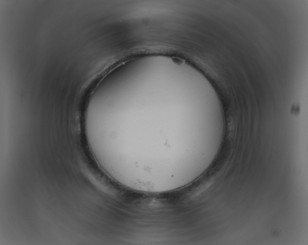 X0000092070254200710101025
