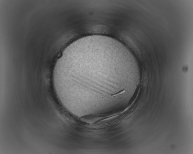 X0000092070255200710101025