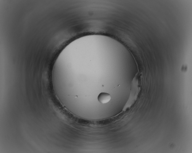 X0000092070256200710101025