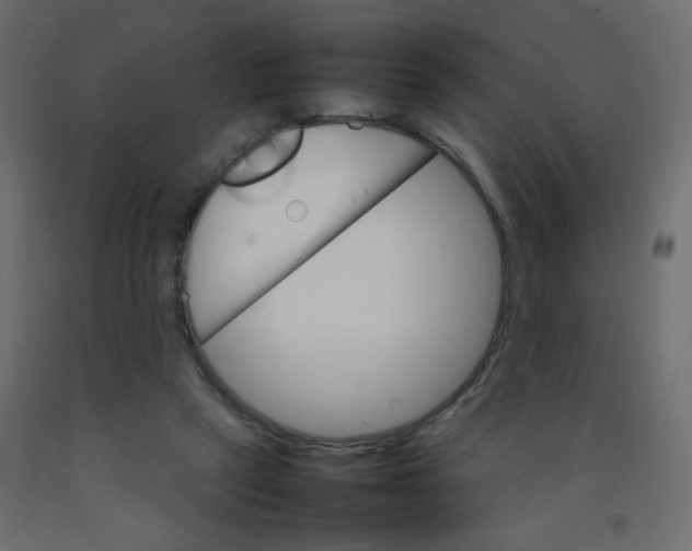 X0000092070257200710101025