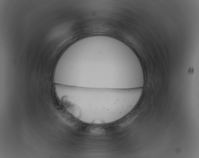 X0000092070258200710101025