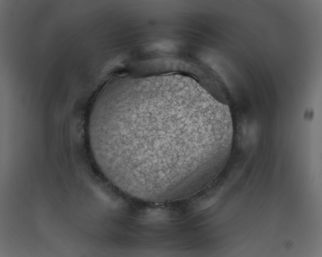 X0000092070259200710101025