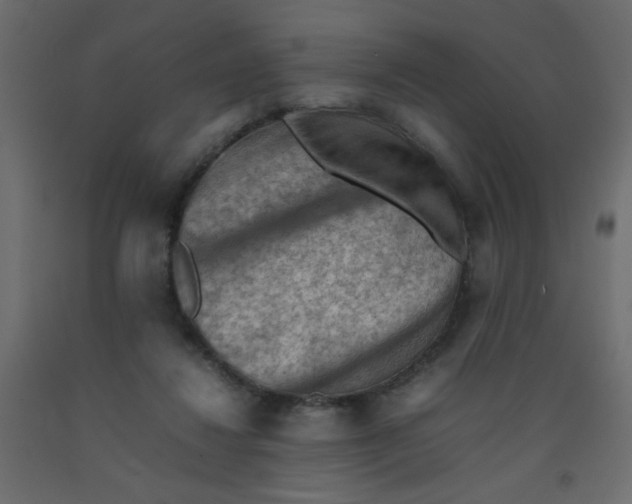 X0000092070260200710101025