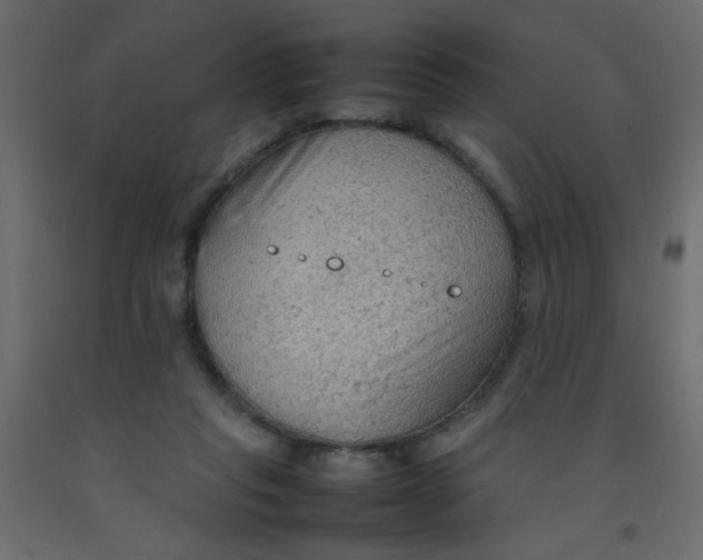 X0000092070261200710101025