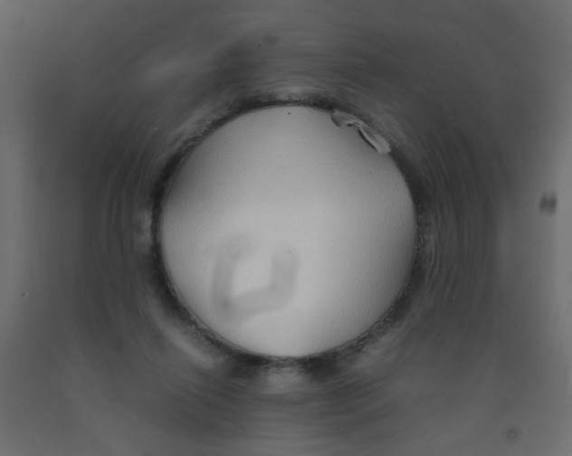 X0000092070262200710101025