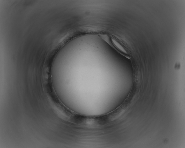 X0000092070264200710101025