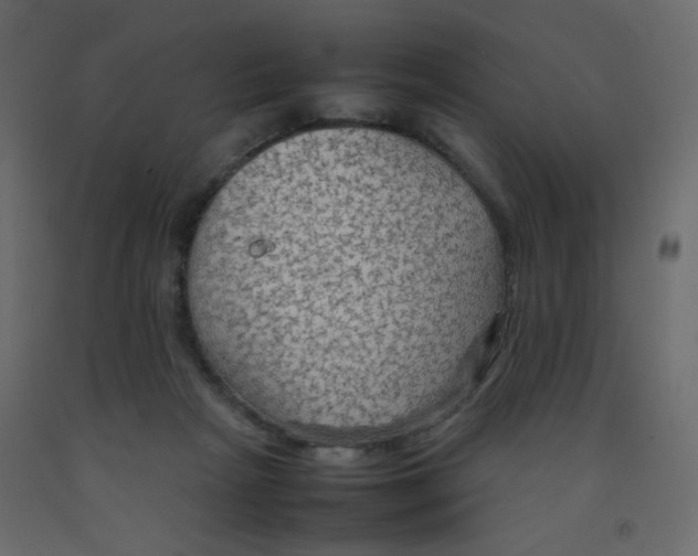 X0000092070265200710101025