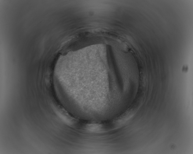 X0000092070266200710101025