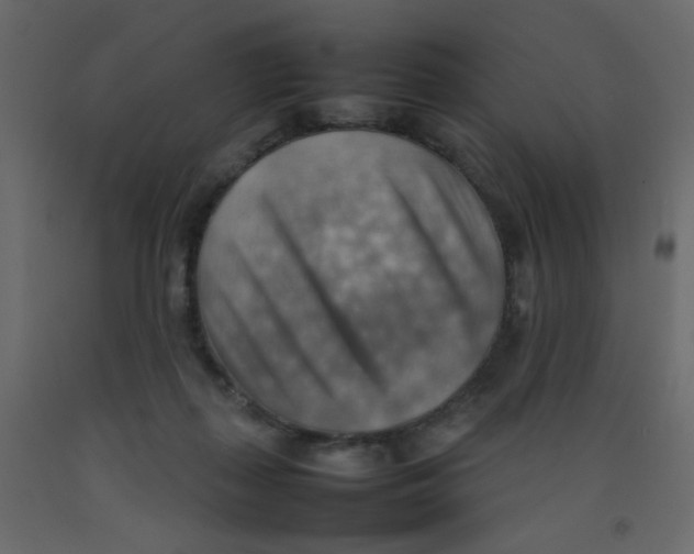 X0000092070267200710101025