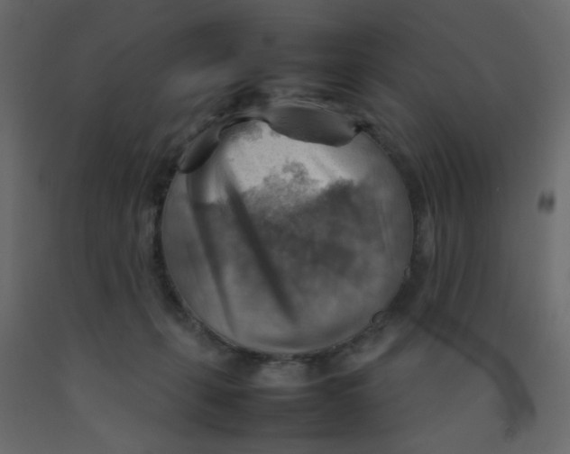 X0000092070271200710101025