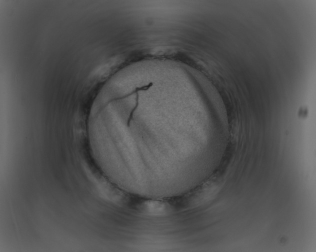 X0000092070272200710101025