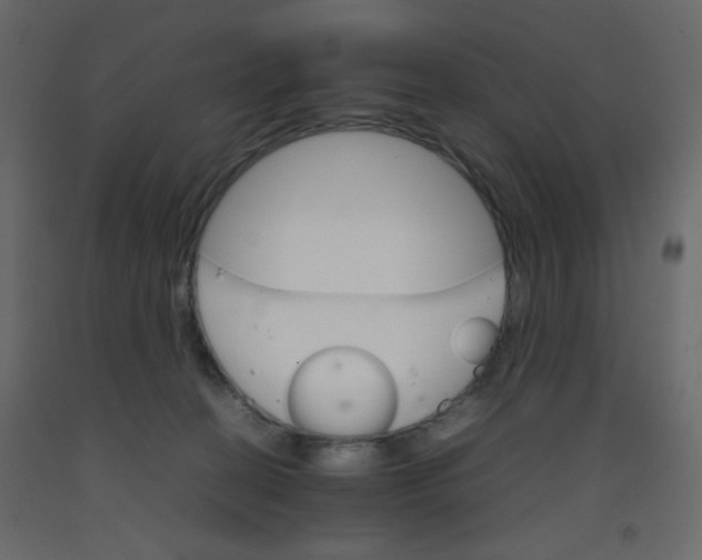X0000092070274200710101025