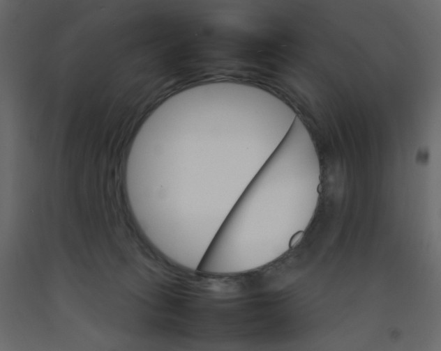 X0000092070275200710101025