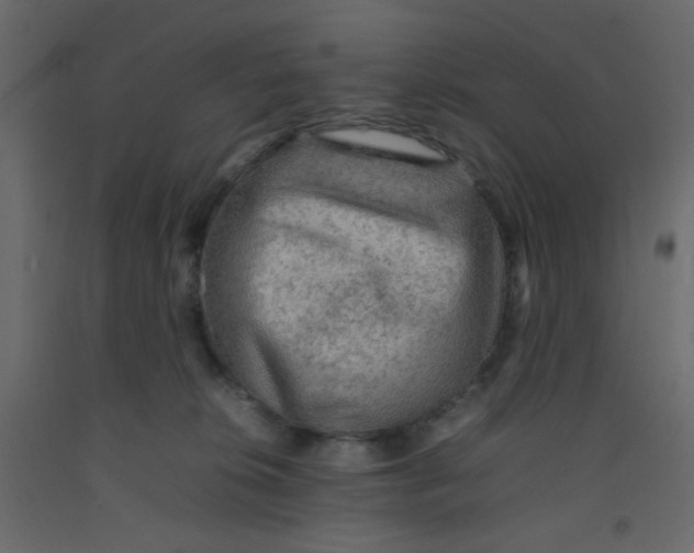 X0000092070276200710101025