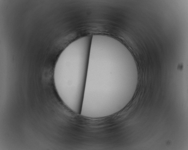 X0000092070277200710101025
