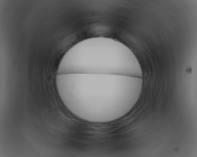 X0000092070279200710101025