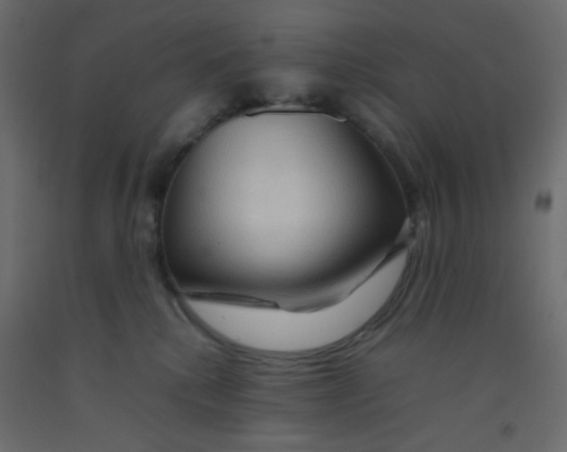 X0000092070280200710101025