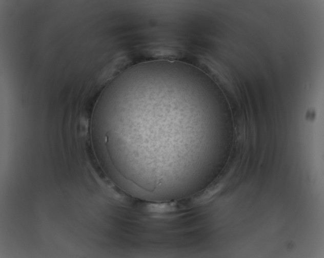 X0000092070281200710101025