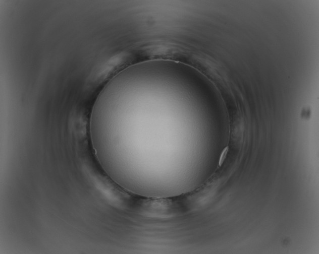 X0000092070282200710101025