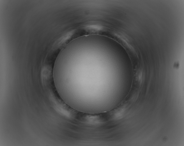 X0000092070283200710101025