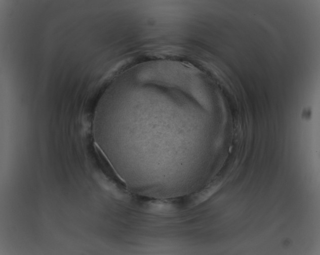 X0000092070284200710101025