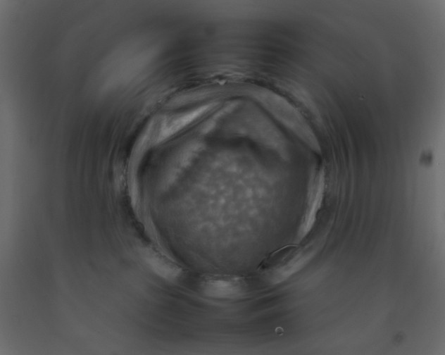 X0000092070285200710101025