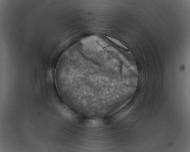 X0000092070286200710101025
