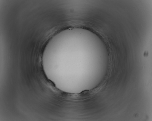 X0000092070288200710101025