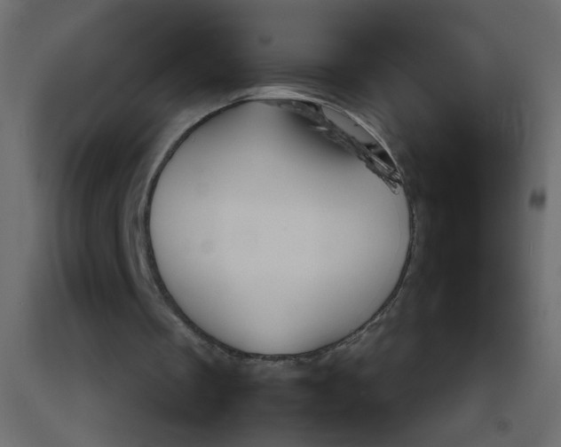 X0000092070289200710101025