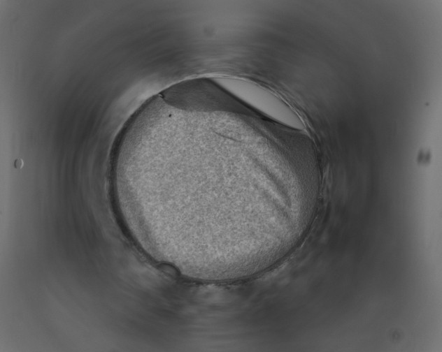 X0000092070290200710101025