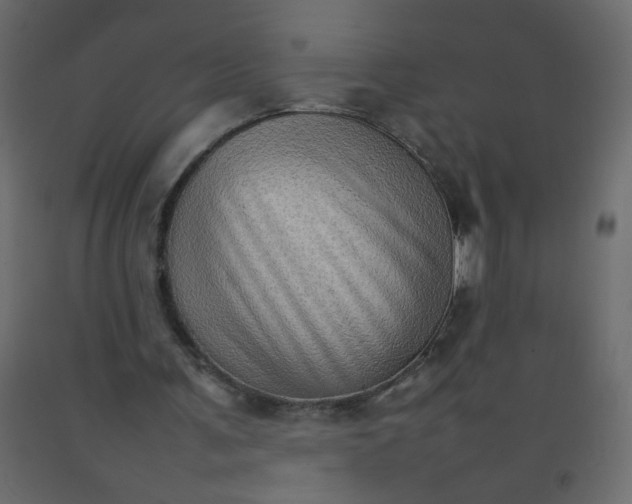 X0000092070291200710101025