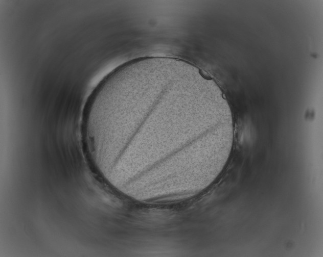 X0000092070292200710101025