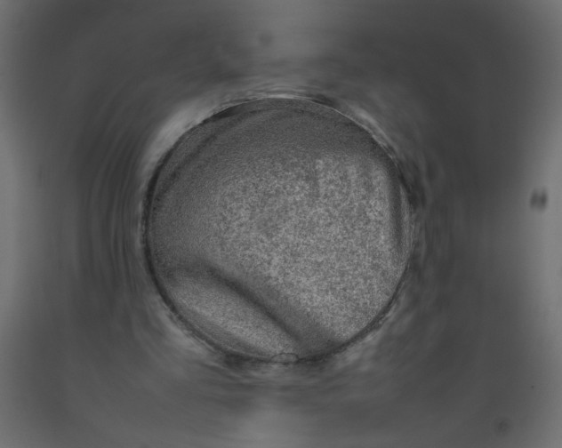 X0000092070293200710101025