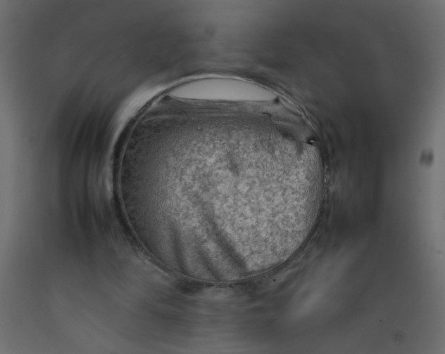 X0000092070294200710101025
