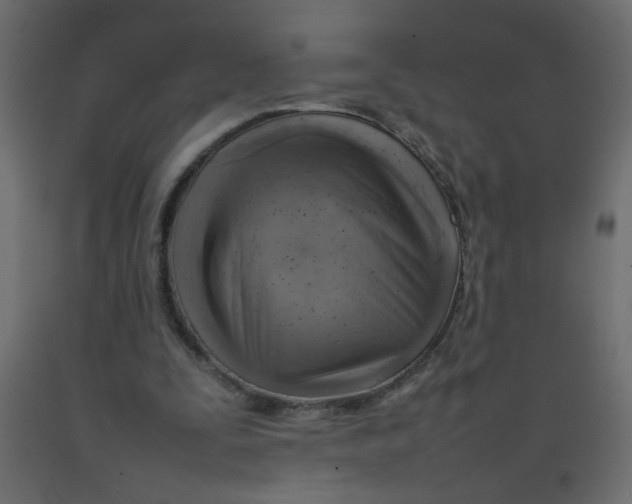 X0000092070295200710101025