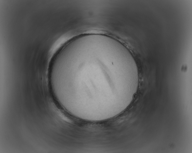 X0000092070296200710101025