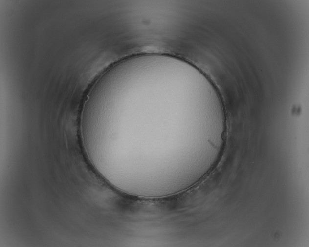 X0000092070297200710101025