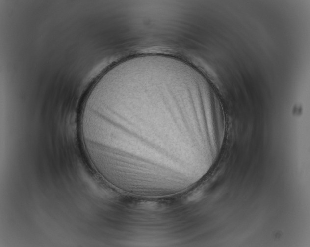 X0000092070298200710101025