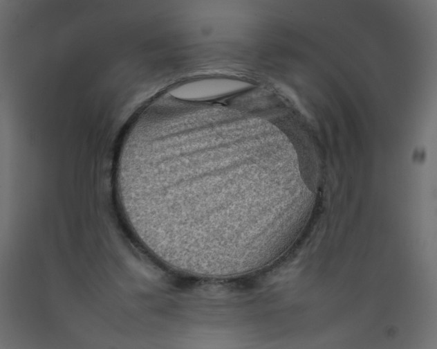 X0000092070299200710101025