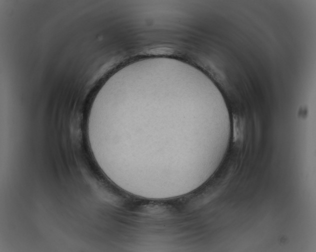 X0000092070300200710101025