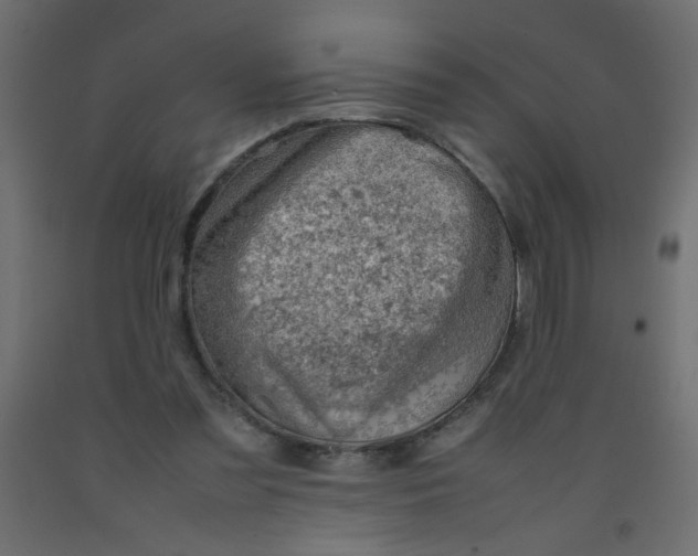 X0000092070301200710101025