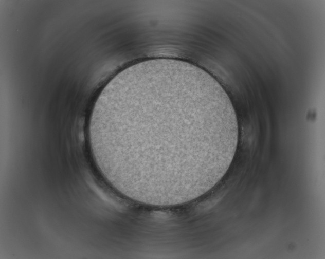 X0000092070302200710101025