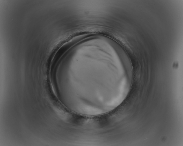 X0000092070303200710101025
