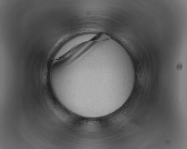 X0000092070304200710101025