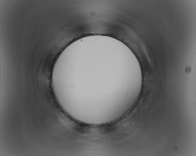 X0000092070305200710101024