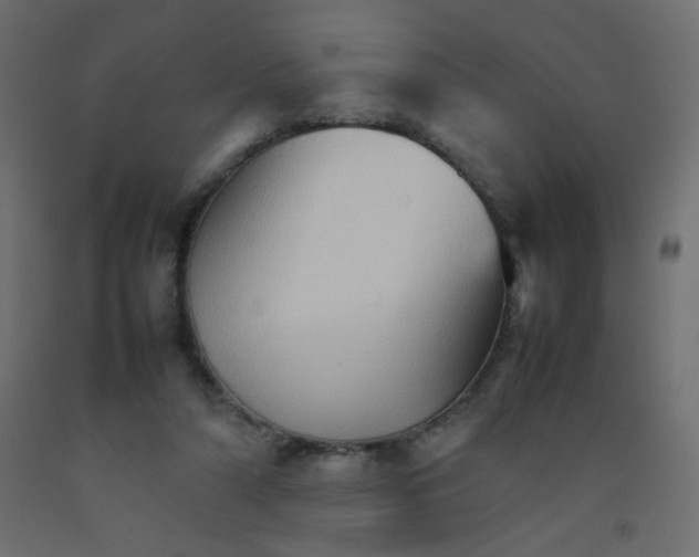 X0000092070306200710101024