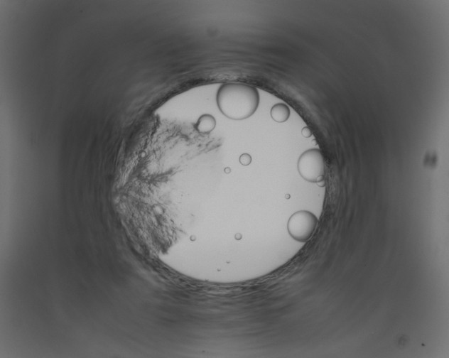 X0000092070307200710101024