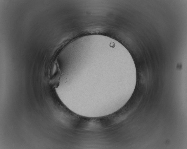 X0000092070308200710101024